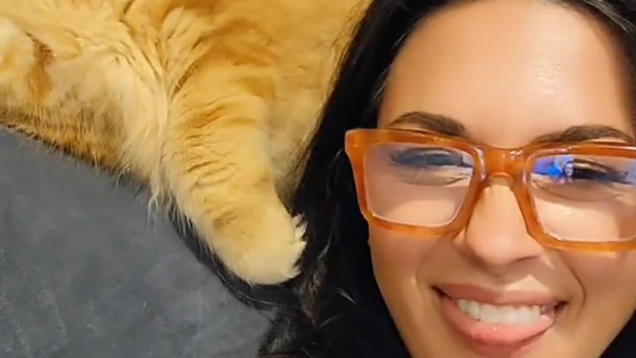 My 15.5 pound kitten