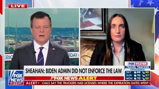 Illegal aliens driving semitrucks are being purged from the roads.