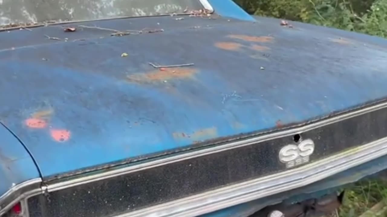 turbo mustang clasic twin