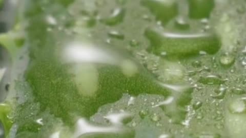 Acid Reflux Relief: Affordable, Natural Solutions! #shorts