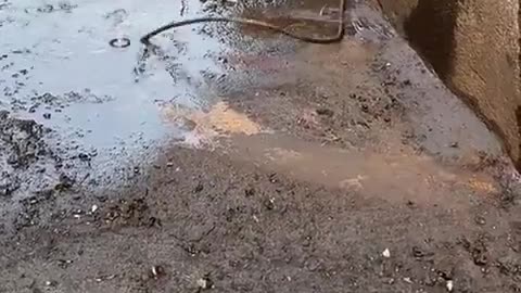 😳🤔 What's Going On Here? Prepare to Be Creeped Out! | TheHauntingHour