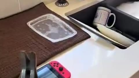 How does Mom know how to convince? 😅