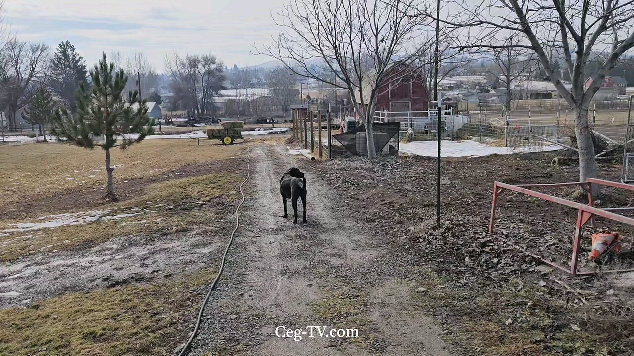 Graham Family Farm: 10:30 AM February 22 2025