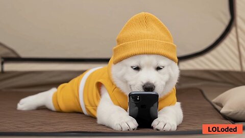 Cozy Fall Camping Adventure – Who's Coming Along? 🍁🏕️🔥