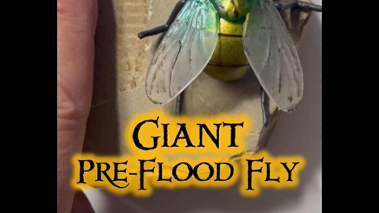 Giant Bugs before the Flood