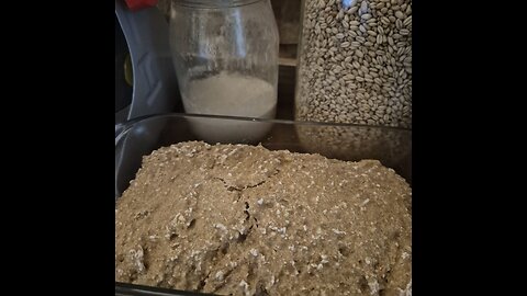 Beginning Sourdough Starter and Fresh Whole Wheat Brown Bread