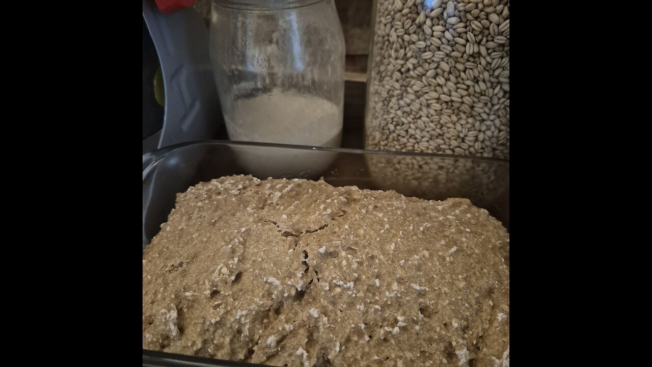 Beginning Sourdough Starter and Fresh Whole Wheat Brown Bread