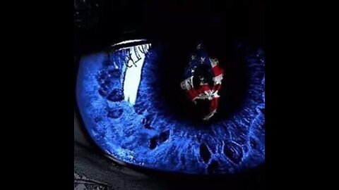 SEATBELTS 🐸 😇 🐇