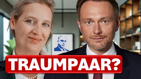 Reißt die FDP die AfD-Brandmauer nieder? | Armin-Paulus Hampel im Interview