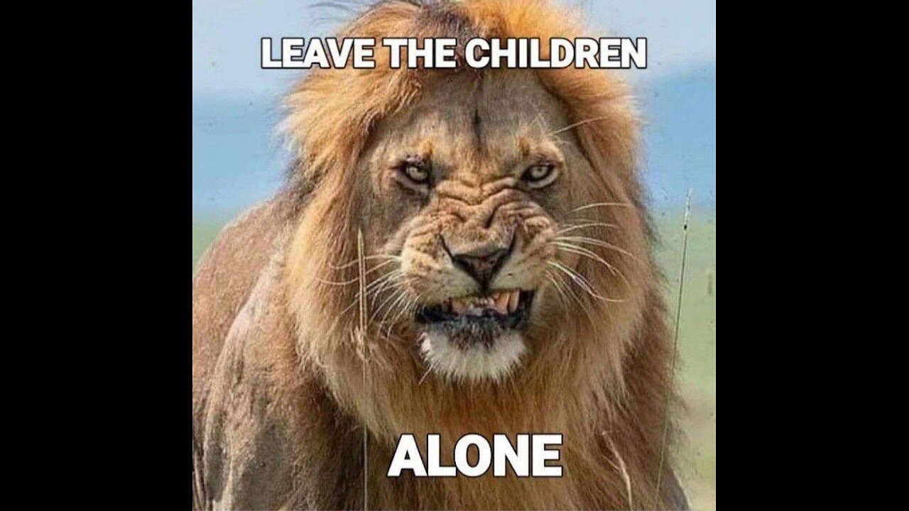 [THE LIBERTY BELL 🔔 FREEDOM RING]