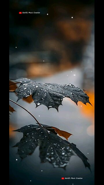 #close your eyes and deep feel this song. and you meet a magicfull memores