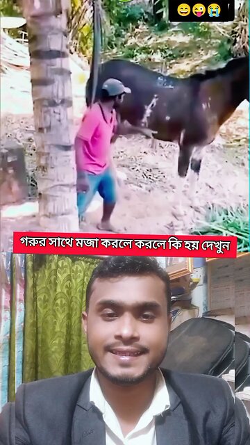 গরুর সাথে মজা করলে যা হয় #shorts #viralshorts #funny #cow