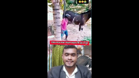 গরুর সাথে মজা করলে যা হয় #shorts #viralshorts #funny #cow