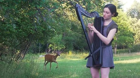 The Enchanted Melody: A Deer’s Serenade