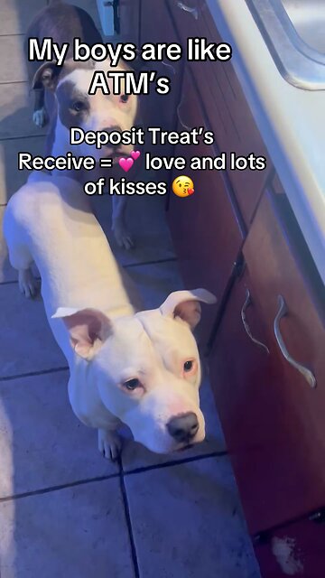 They are just like ATM’s