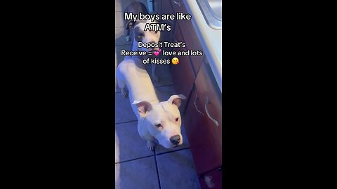 They are just like ATM’s