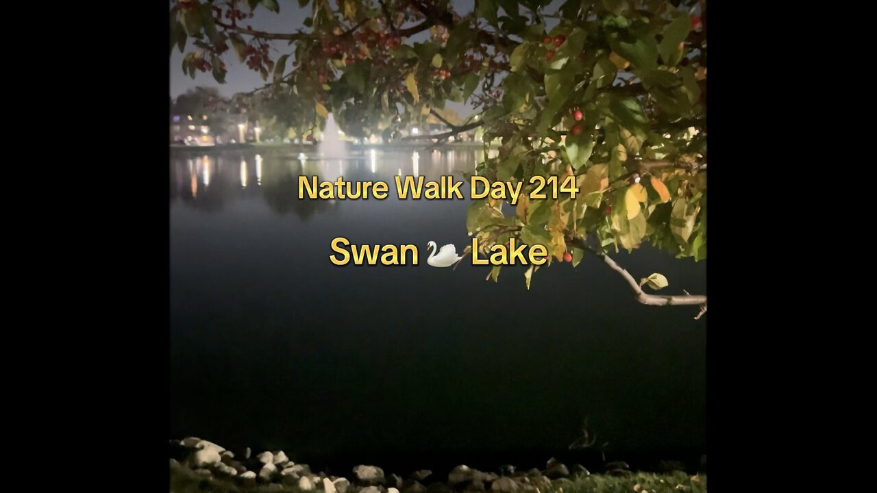 17. Walk with Me Tonight