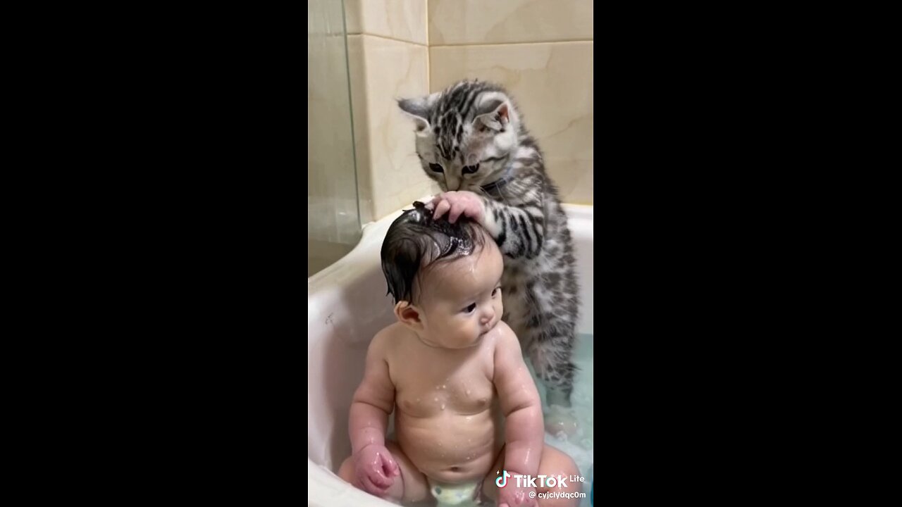 😸