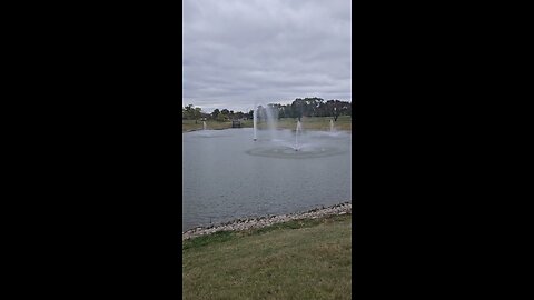 My Peaceful Place - My NDE Revisited