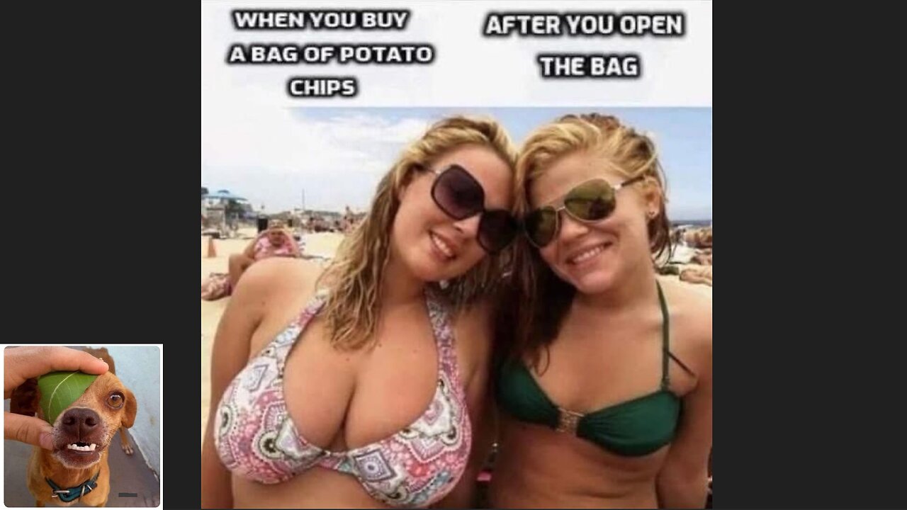 Memes That Will 99.0423% Make You Laugh. (e647)