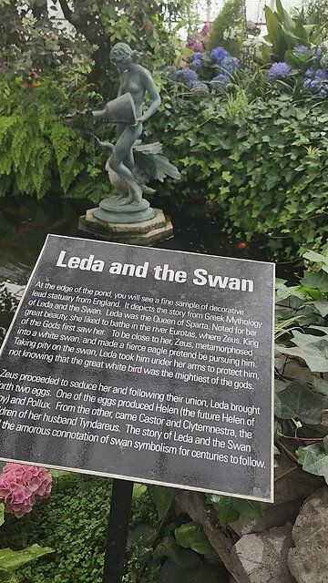 Leda and the Swan