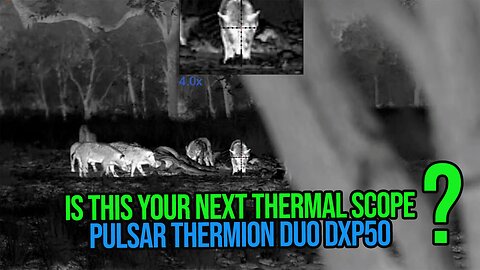 WHAT ARE OUR THOUGHTS? Thermion Duo DXP50 and something you didn't know about PULSAR'S NETD