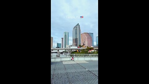 Views of Tampa, Florida 🌏 || #video #viral #florida #rumble