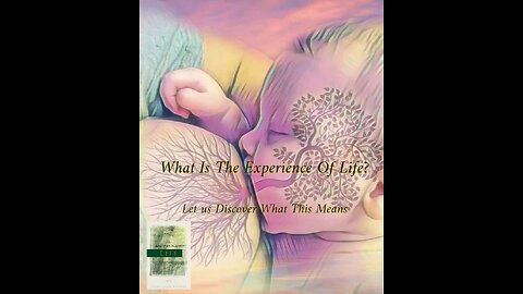 What Is The Experience of Life?