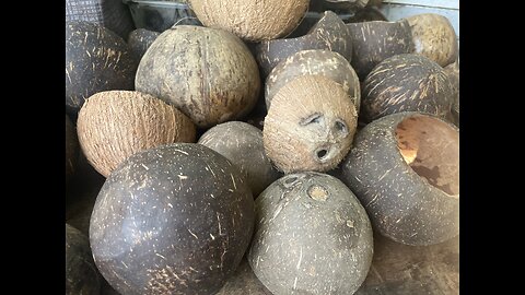 Opening Coconuts