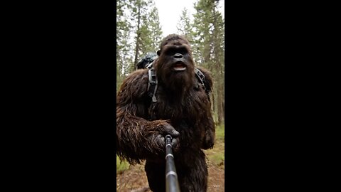 #Vlog #veo3 #bigfoot #Veo #humor