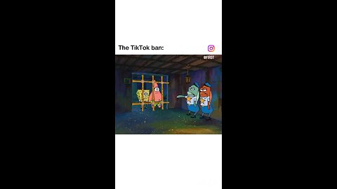 The TikTok Ban 😅😅 13 Hours