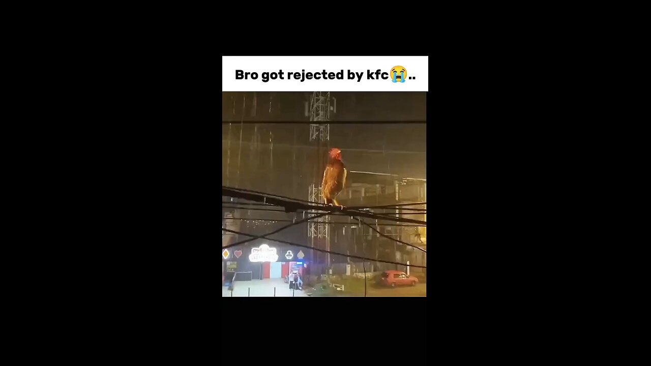 Bro got rejected by kfc