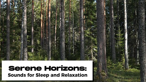ASMR FOREST | Serene Horizons | Sounds For Relaxing, Focus or Sleep | White Noise 10 Hours