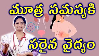 మూత్ర సమస్యకి వైద్యం Best Treatment Of Urinary Tract Infection UTI Homeopathy Treatment Medicine