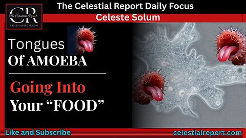 Tongues of Amoeba Going into Your “Food”