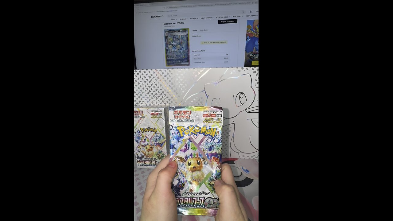 Pokemon Terastal Festival EX Pack Opening SAR Eevee!!