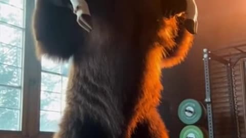 This Bear Just Walked Into a Gym and Did the Unthinkable #Sora #Ai