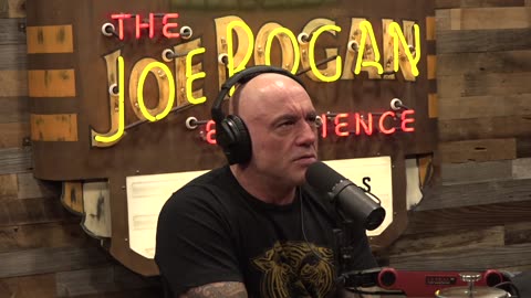 Family Friendly Joe Rogan Experience #2423 - John Cena