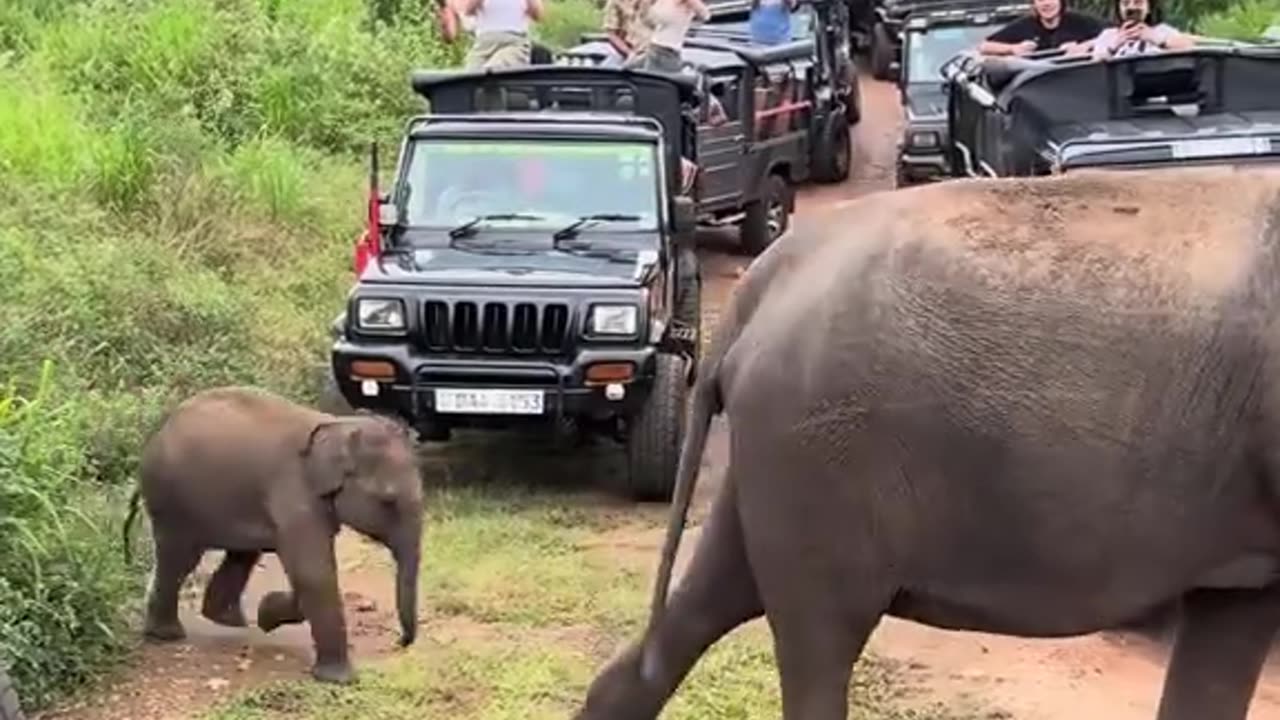 රටට ඩොලර් ගේන අය