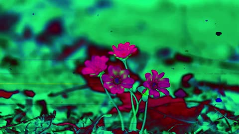 Hope----Eternity (short poem)