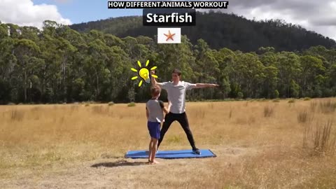 Best Funny Videos