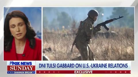 Tulsi: "The longer this goes on, not only are more Ukrainians losing their lives