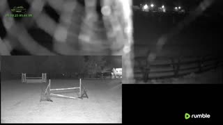 Mousehold Farm All Weather Riding arena