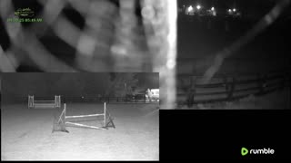 Mousehold Farm All Weather Riding arena