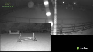 Mousehold Farm All Weather Riding arena