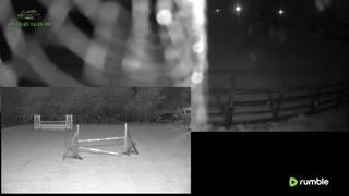 Mousehold Farm All Weather Riding arena