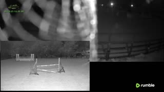 Mousehold Farm All Weather Riding arena