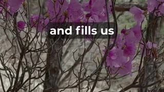 Feeling Worried? Try This Prayer for Peace