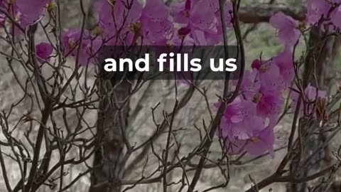 Feeling Worried? Try This Prayer for Peace