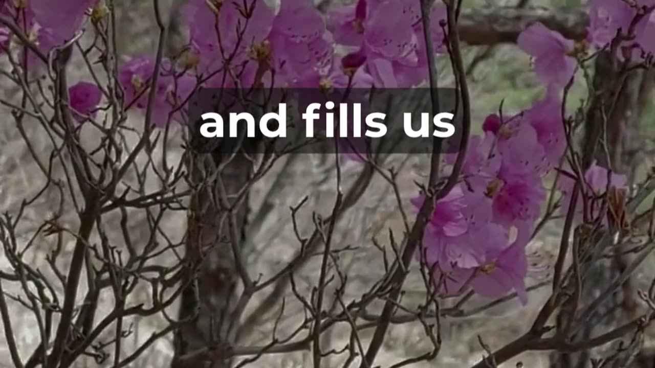 Feeling Worried? Try This Prayer for Peace